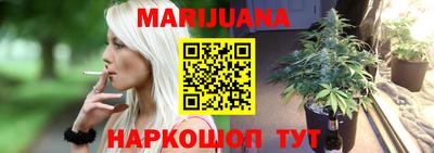 мяу мяу мука Гатчина