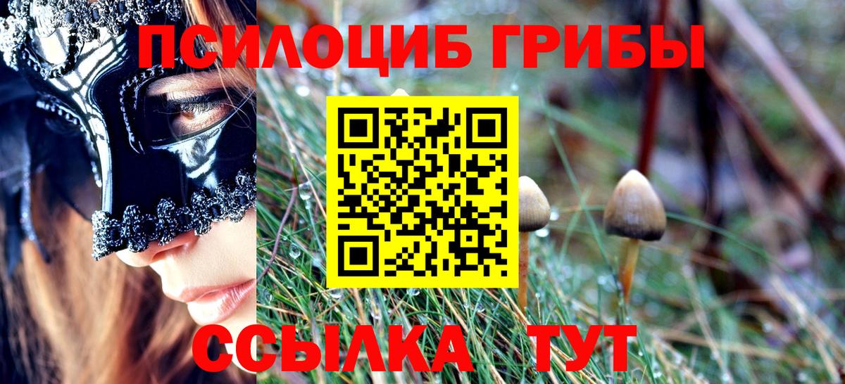 Псилоцибиновые грибы Psilocybe  Вход с VPN  Новоалександровск  Псилоцибиновые грибы GOLDEN TEACHER 